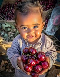 Ground cherries: sweet and delicate fruit invention
