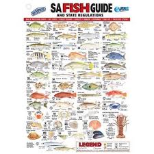 Sa Fish Id Card Guide