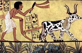We did not find results for: Intensive Animal Farming Wikipedia
