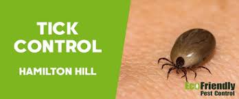 Pest control hamilton, qld takes pride in being able to provide pest related services to its customers to keep them safe from pest infestations. Pest Control Hamilton Hill