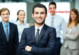 Business Analyst Certifcation Syllabus It Business Analyst Programs In Noida