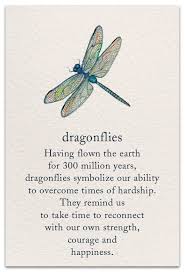 Dragonfly Support Encouragement Card Cardthartic Com Dragonfly Quotes Inspirational Quotes Words