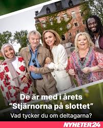 ÅRETS STJÄRNOR ⭐ Camilla Hamid, Peter Dalle, Lena Ohlin ...