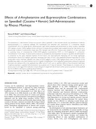 What is the procedure for writing a position paper based on a policy document to be published in a journal? Pdf Effects Of D Amphetamine And Buprenorphine Combinations On Speedball Cocaine Heroin Self Administration By Rhesus Monkeys