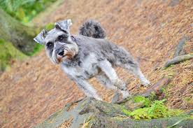 Rebecca eve's full report may contain information on how to contact them such as phone numbers, addresses, and email addresses. Moli Carnie Rebecca Eve Photos Flickr