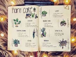 25 Houseplant Layouts You Need In Your Bullet Journal Elizabethjournals Bullet Journal Layout Bullet Journal Work Bullet Journal Ideas Pages