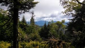 Maybe you would like to learn more about one of these? Hiking Bushwhacking Cold Hollow Mountain Vermont New England 50 Finest