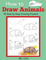 For a more dangerous type well draw a line above the eye a little at an angle as we do with eyebrows when we draw an evil person. How To Draw Animals 40 Step By Step Drawing Projects Beginner Drawing Guides Calder Alisa 9781947243514 Amazon Com Books