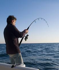 Resultado de imaxes para caña de pescar