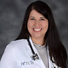 Vet Specialists in Clearwater, FL