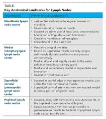 lymphadenectomy overview of surgical anatomy removal of