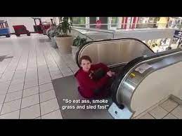 Pin On Funny