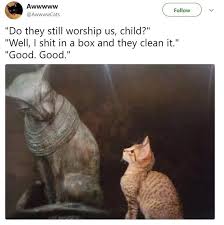 These 20 Classical Art Memes Featuring Animals Are Better Than Going To The Museum Funny Animal Memes Cute Funny Animals Animal Memes