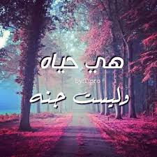 إذا كانت هكذا صور الدنيا فكيف هي الجنة في تصورك Neon Signs Neon Words