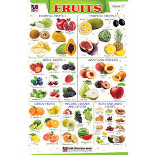 Chart No 17 Fruits