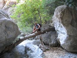 From the stunning vistas of sarakina gorge to the endless green of selakano forest and the turquoise waters of islet chrissi, there's a little something for everyone. The Sarakina Gorge Near Mirtos In Crete Greece