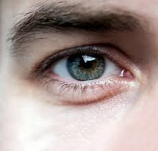 Image Result For Eye Reference Realistic Eye Eyes Realistic