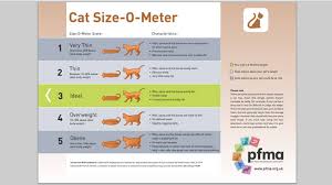 Pet Size O Meters Pfma