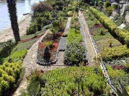 Climate And Vegetation Egypt