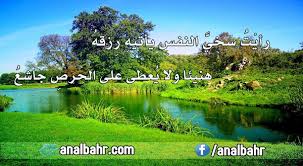 أجمل أبيات شعر عن الكرم لأناس ج بلوا على الجود والسخاء أنا البحر