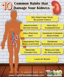 Prerenal Intrinsic Renal And Postrenal Kidney Damage Healthy Kidneys Kidney Detox Cleanse Kidney Health