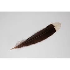 Huia Bird Feather. Feathers Were Stuck Into The Topknot By… - Tribal Art,  Featuring The Webster Collection Part Iv - Dunbar Sloane Ltd. - Antiques  Reporter