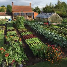 6 955 Likes 140 Comments Charles Dowding Charles Dowding On Instagram The Garden Is As Full As At Any T Vegetable Garden Design Backyard Cottage Garden