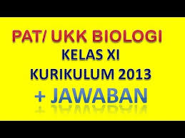 Check spelling or type a new query. Soal Pat Ukk Kelas 11 Biologi Kunci Jawaban Mipa Youtube