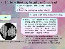 Makhluk hidup bersel satu dapat hidup mandiri dan dapat mencukupi kebutuhan hidupnya sendiri seperti energi, mineral, dan sebagainya. Sel Sebagai Unit Asas Kehidupan