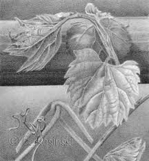 We did not find results for: The Best Drawing Paper For Graphite Pencil Carol S Drawing Blog