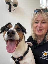 Wedding Pet Chaperone Service