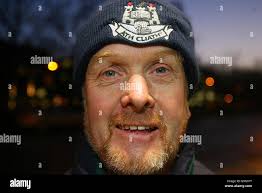 Swan from the back hi-res stock photography and images