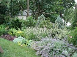 Desiring Privacy Screening We Created A Mixed Border Of Evergreens Shrubs And Perennials Privacy Landscaping Traditional Landscape Backyard Privacy