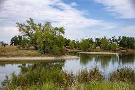 Ahead of environment day on june 5, know about india's wetlands and why they are so. What Are Wetlands List Of New Wetlands In India 2019