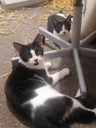 FOUND ‼️ This is Mildred...