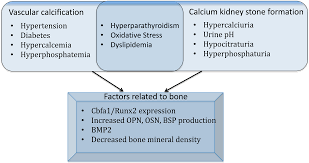 Image result for Calcium Nephrolithiasis