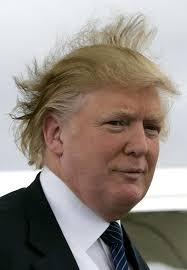 Donald trump wig for sale store