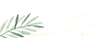 Erin Hutter and Timothy Yancey's Wedding Website