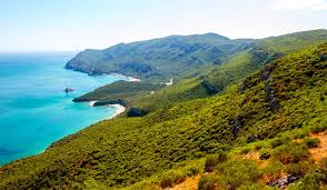 The former produces a sweet, fortified wine (sometimes labelled moscatel de setúbal if it contains more than 85% muscat). Peninsula De Setubal O Que Visitar 2021