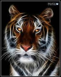 Batu akik mata harimau atau dikenal dengan juga dengan tiger iron adalah jenis batu cincin dengan corak hampir sama dengan mata kucing 'cats eye'. 5d Penuh Dibor Api Persegi Mata Harimau Menjahit Diy Lukisan Berlian Cross Stitch Berlian Bordir Persegi Berlian Mosaik Diamond Mosaic 5d Full Drillpainting Cross Stitch Aliexpress