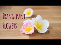 How To Make A Sugar Frangipani Plumeria Flower By Minh Cakes Youtube Sugar Flowers Tutorial Fondant Flower Tutorial Fondant Flowers