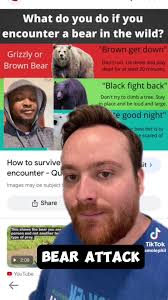 How to Survive A Bear Attack Rhyme