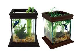 Aquarium mini pvc unik lengkap lampu dan aerator oxygen. Model Aquarium Toples Unik Harga Murah