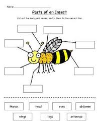 Pin On Speech And Language