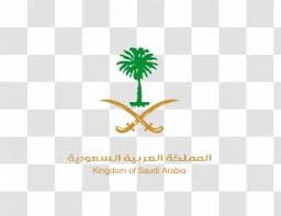 ameera al taweel united arab emirates woman beauty eyebrow jaw transparent png ameera al taweel united arab emirates