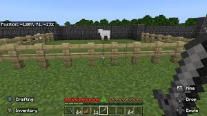 Trying To Capture Every Mob But The Wandering Trader Keeps Despawning I  Have Now Wasted 2 Name Tags What Do I Do : R/Minecraft