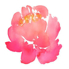 Check spelling or type a new query. Flowers Daisy Custom Brush For Procreate Flower Drawing Floral Watercolor Floral Art