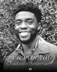 Chadwick Bozeman, a brother who shared his blessings, gave us a light by  which we can see the possible. Thank you King T' Challa. Please tell  Supreme Court Justice Thurgood Marshall and