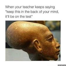 18 End Of Fall Semester Thoughts New Funny Memes College Memes Funny Tweets