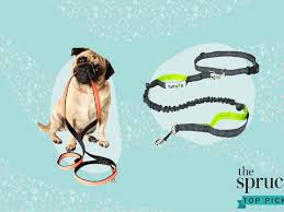 Maybe you would like to learn more about one of these? The 8 Best Hands Free Leashes Of 2021